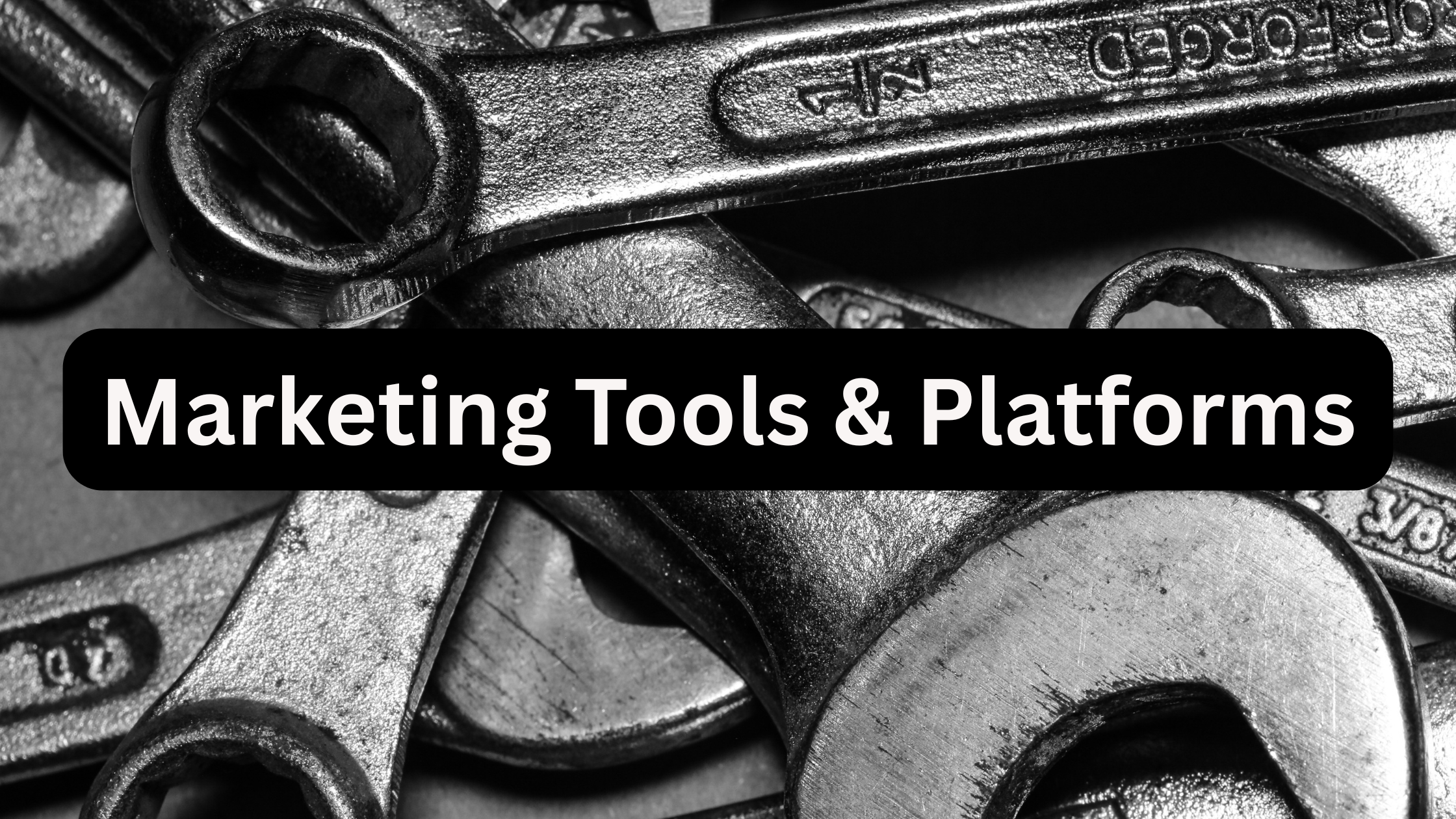 10 Free and Low-Cost Marketing Tools Every Startup Should Use
